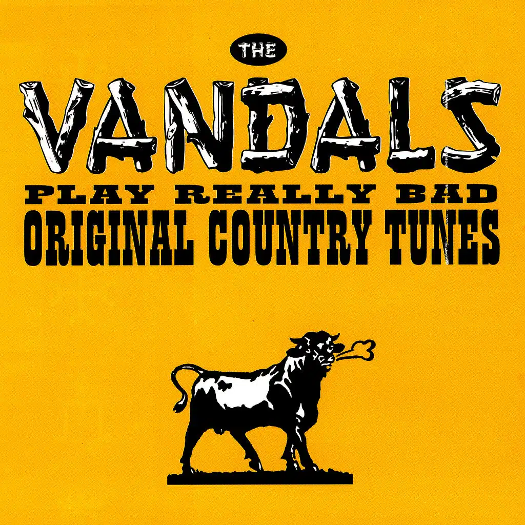 In America (Charlie Daniels cover)