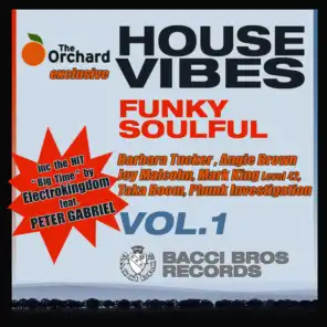 House Vibes Funky Soulful, Vol. 1