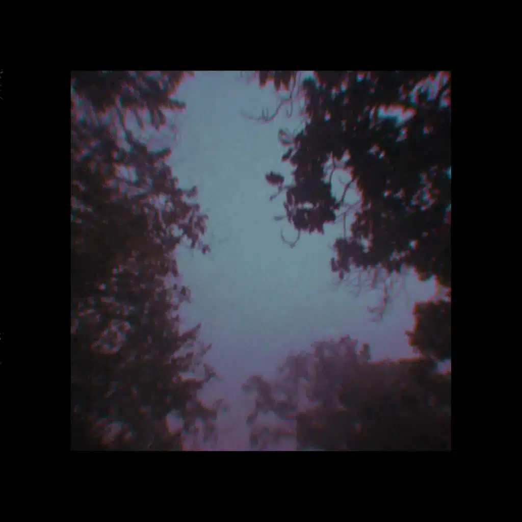 Stay Awake
