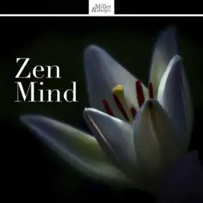 Zen Mind - Best Calm Music for Stress Relief