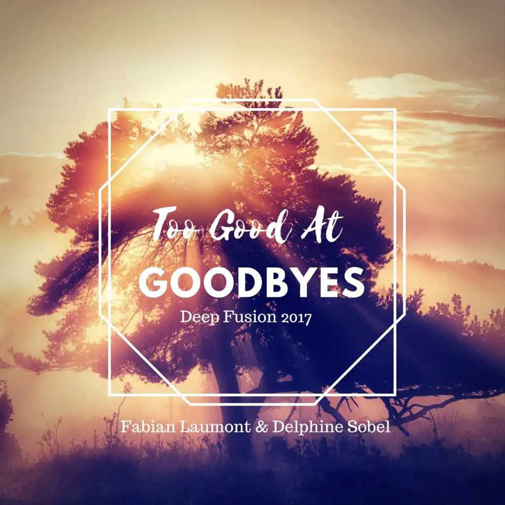 Too Good at Goodbyes (Deep Fusion 2017)