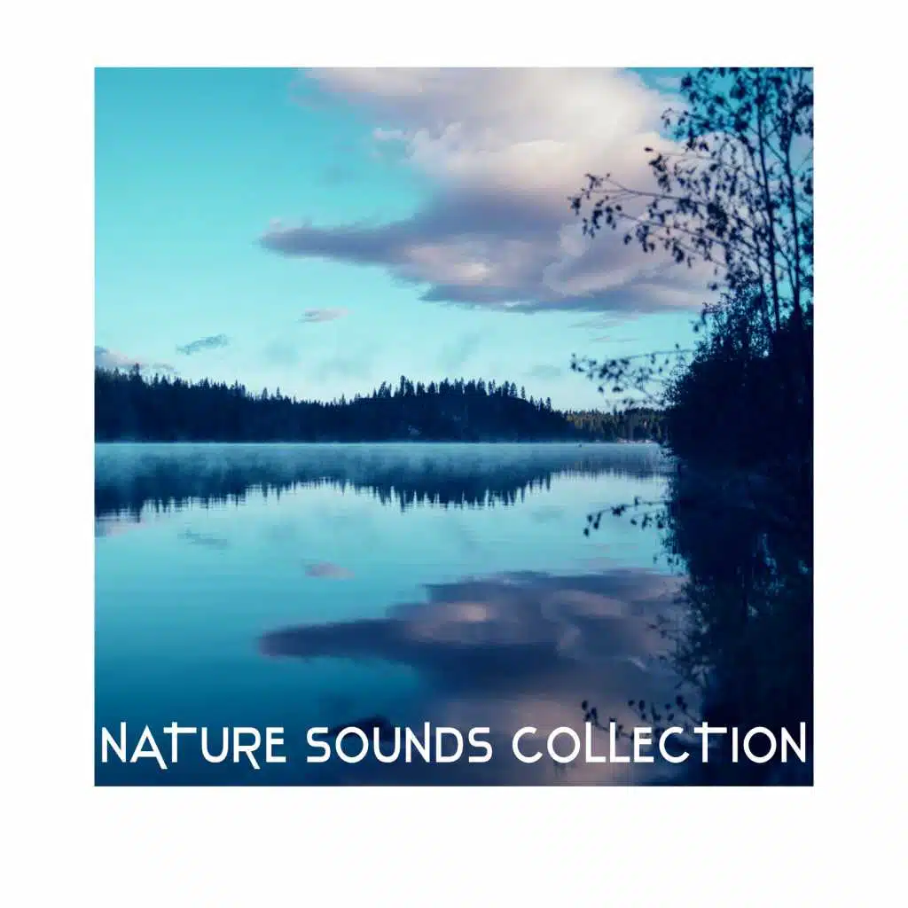 Nature Sounds Collection