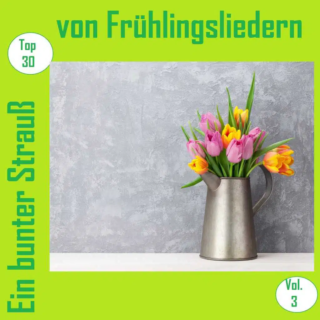 Top 30: Ein bunter Strauß von Frühlingsliedern, Vol. 3