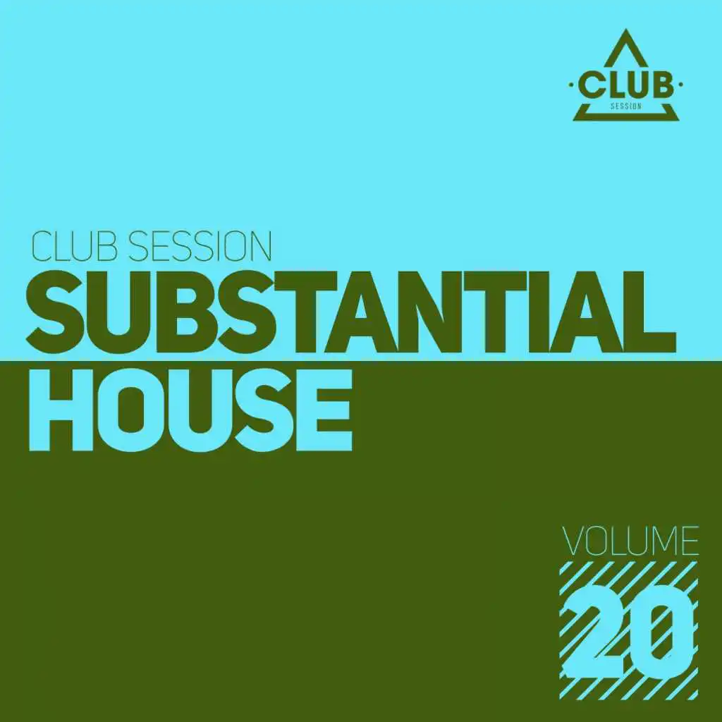 Substantial House, Vol. 20