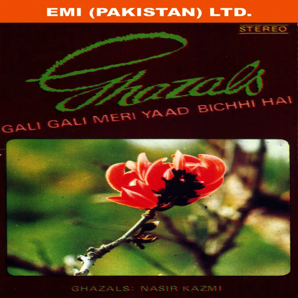 Ghazals - Gali Gali Meri Yaad Bichhi Hai