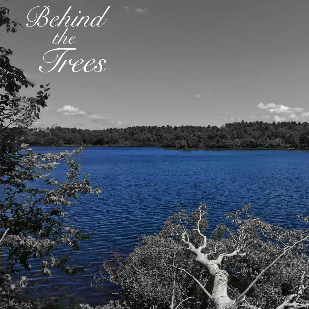 Behind The Trees