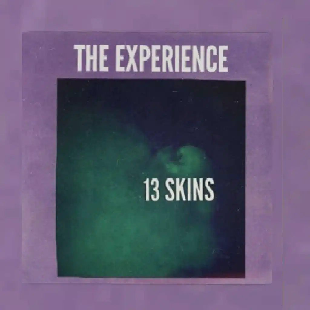 13 Skins