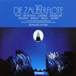 Die Zauberflöte, K. 620, Act 1: "Der Vogelfänger bin ich ja" (Papageno) [feat. Wolfgang Brendel]