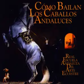 Como Bailan Los Caballos Andaluces (Sinfónia Flamenca)