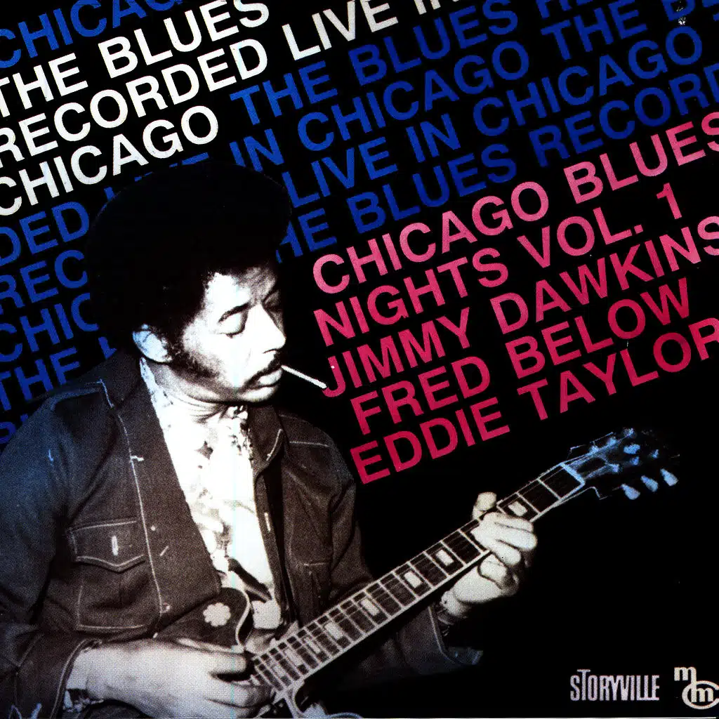 Chicago Blues Nights Vol. 1