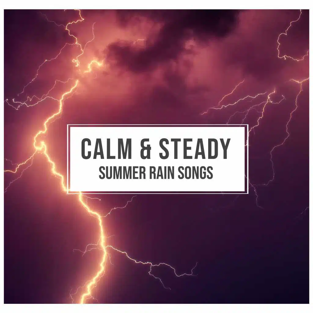 #19 Calm & Steady Summer Rain Songs