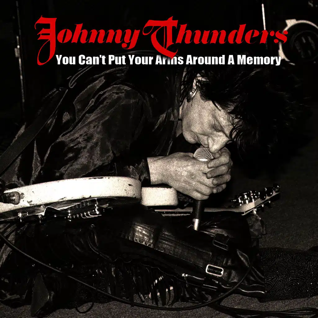 You Can't Put Your Arms Around A Memory (Rare Version)