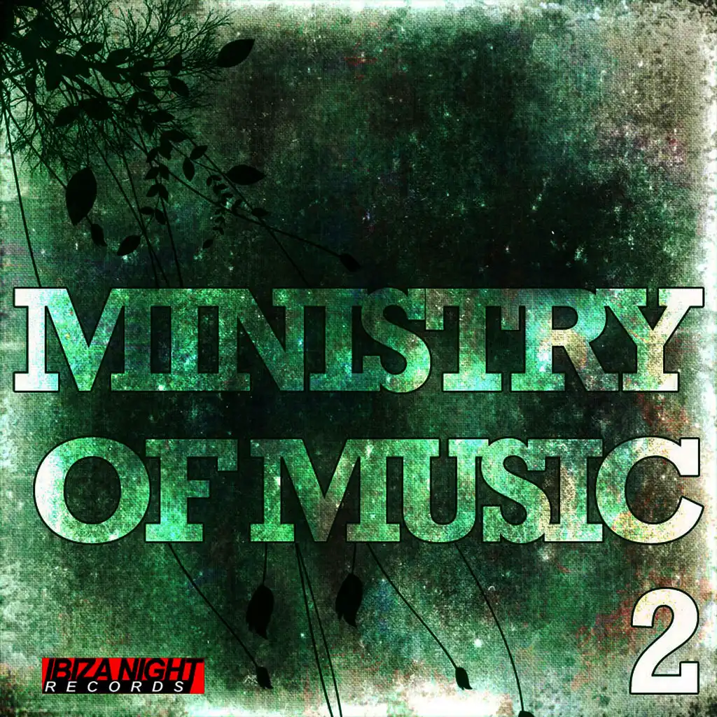 Ministry Of Music Vol.2