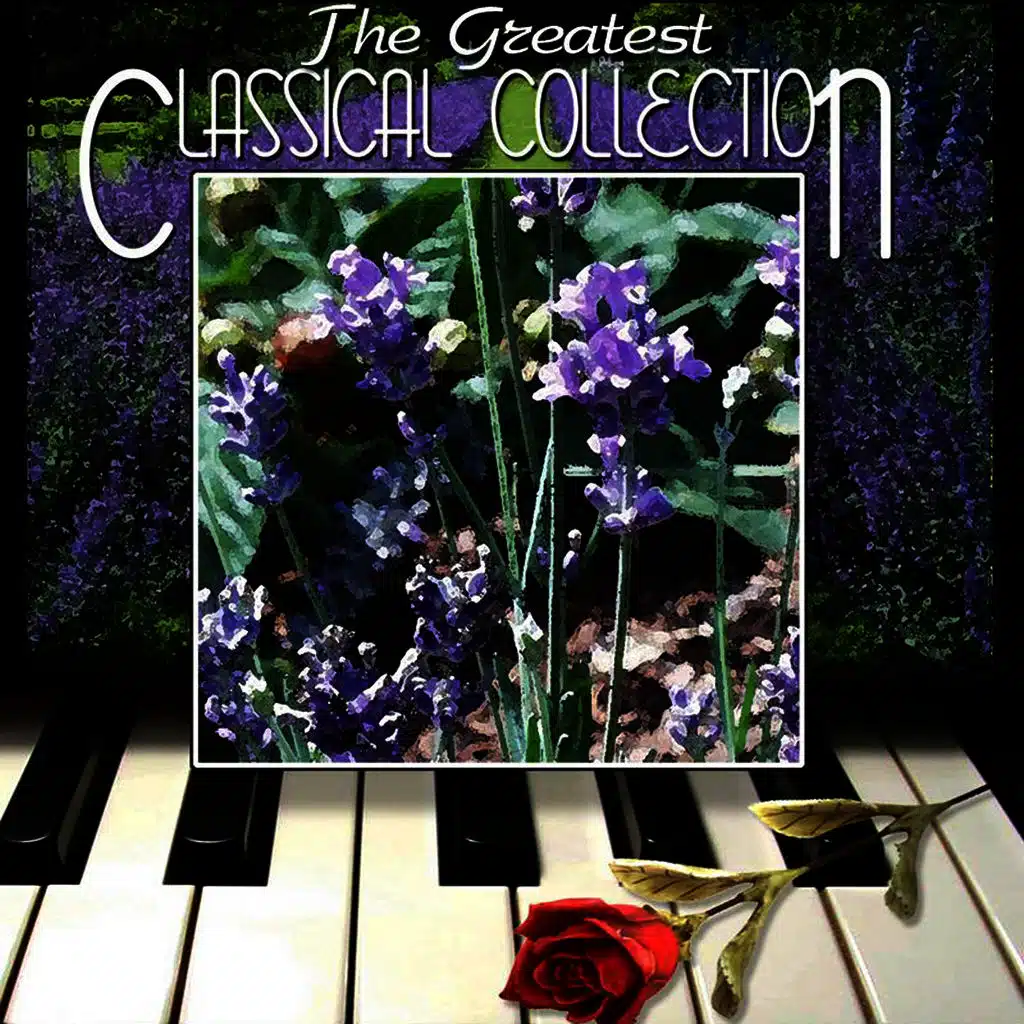 Jesu, Joy Of Man's Desiring (From Herz und Mund und Tat und Leben) (Johann Sebastian Bach)