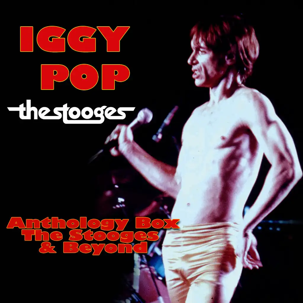 Anthology Box - The Stooges & Beyond