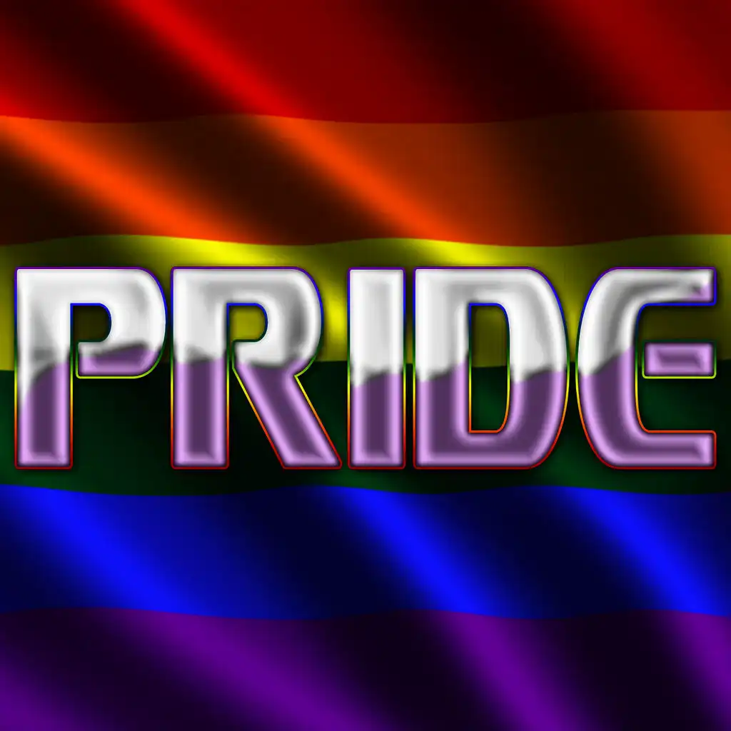 Pride (Celebrate, Embrace & Love The Best House Music Anthems)