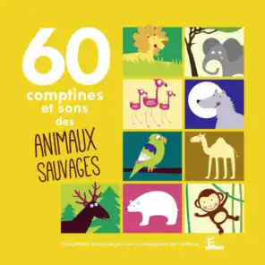 60 Comptines et sons des animaux sauvages