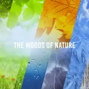 The Moods Of Nature
