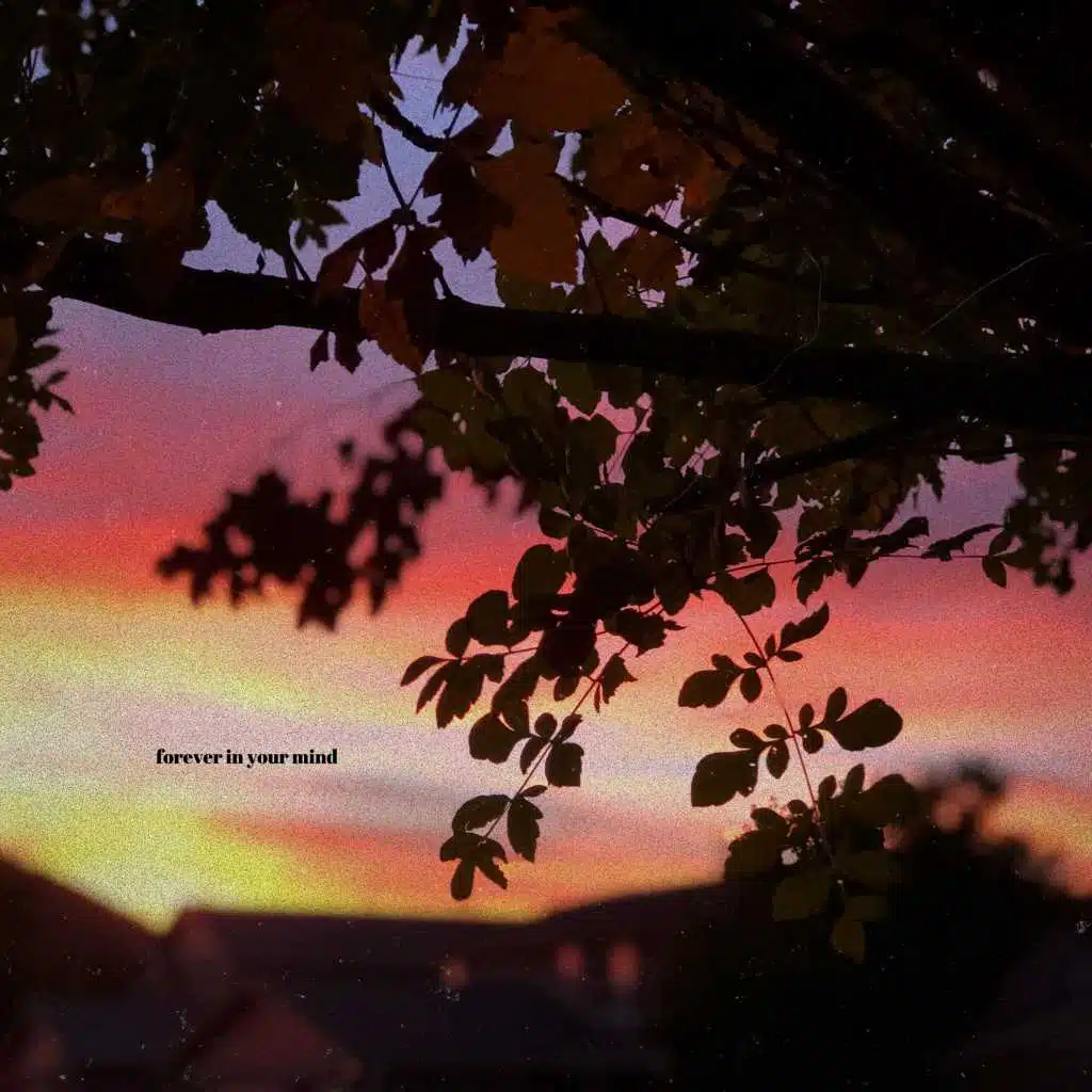 Forever in Your Mind
