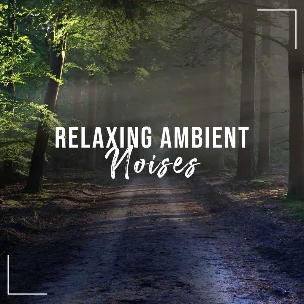 2018 Entspannende Ambient Noises für Achtsamkeit