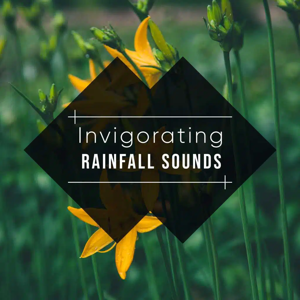 Musical Drops