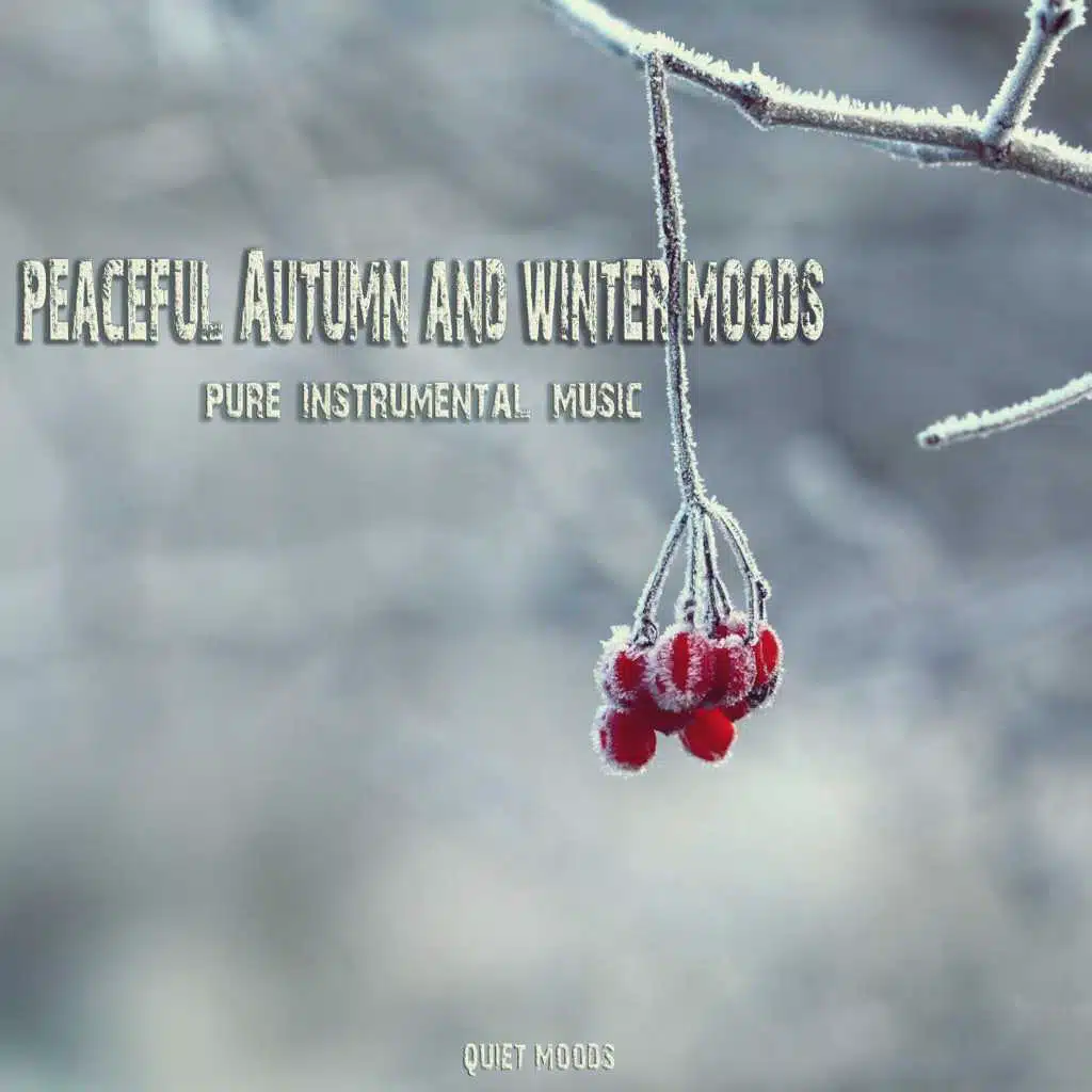 Ave Maria (Piano Solo)