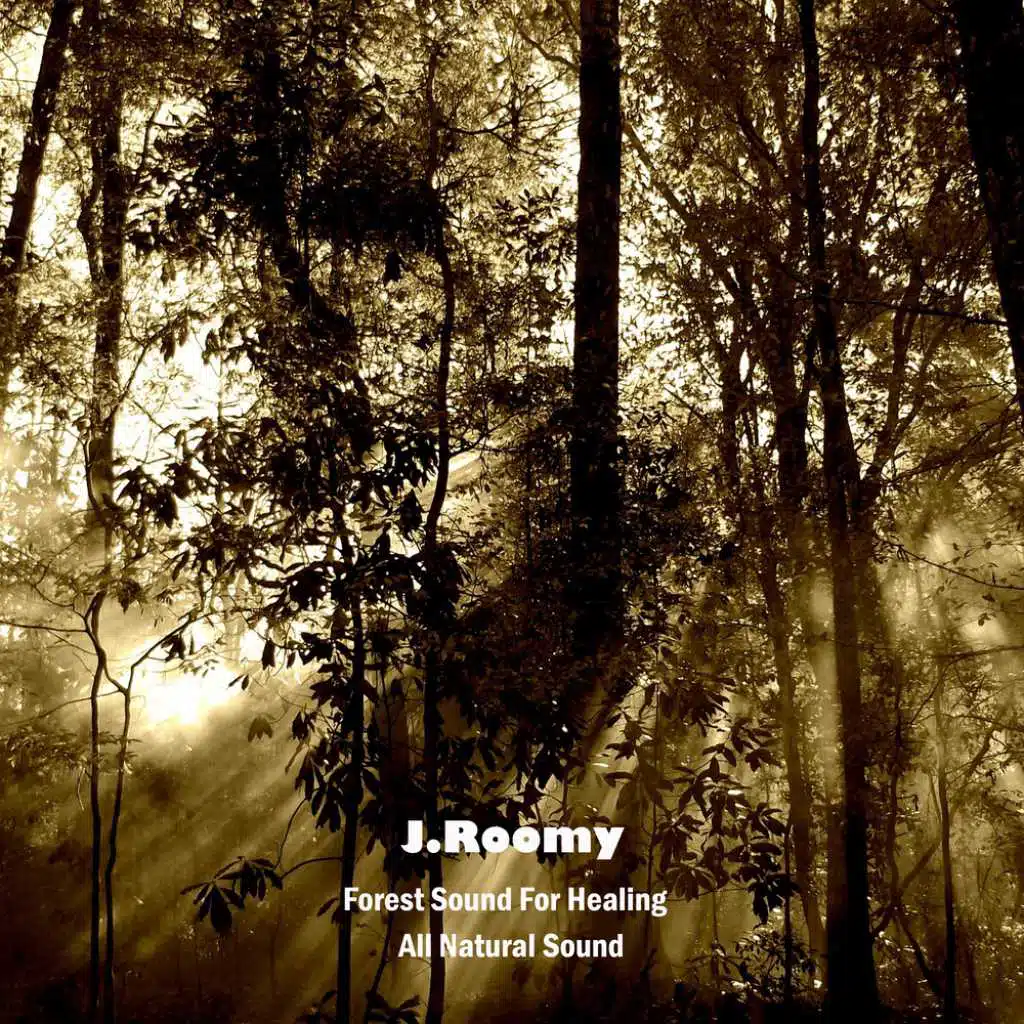 Forest Sound for Healing