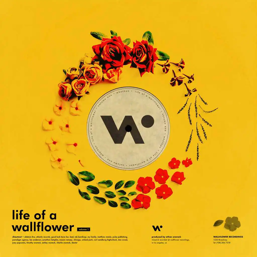 Wallflower