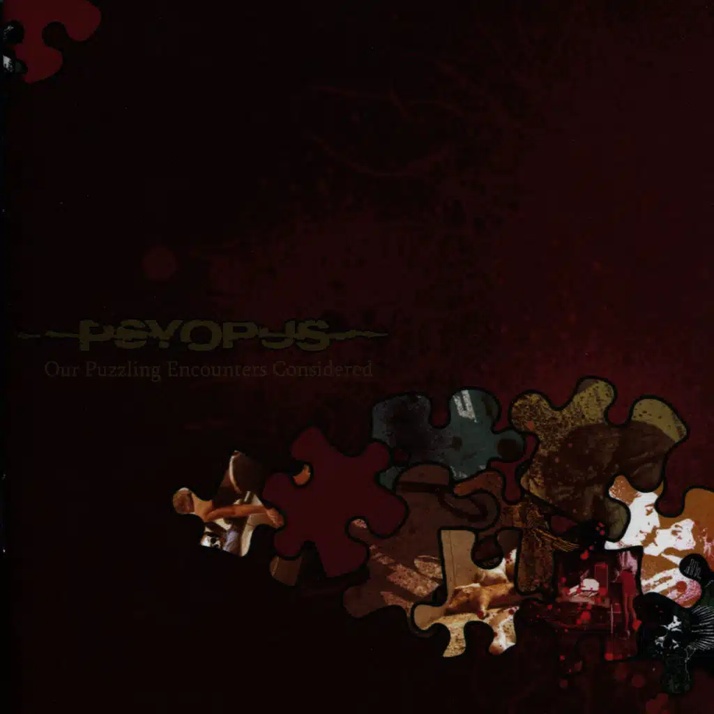 Our Puzzling Encounters Considered