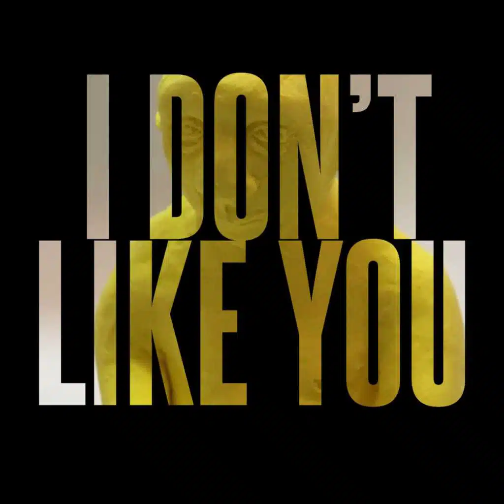 I Don't Like You