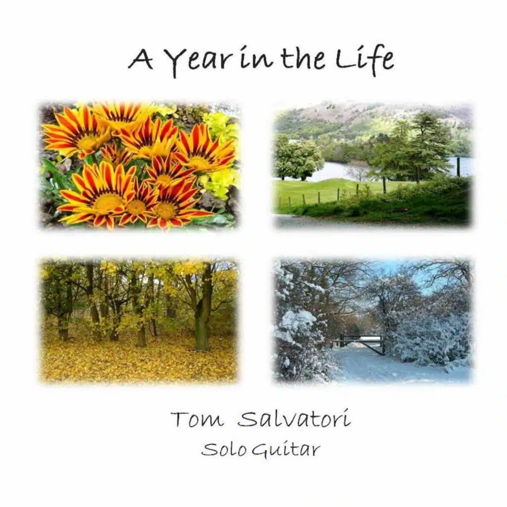 A Year in the Life