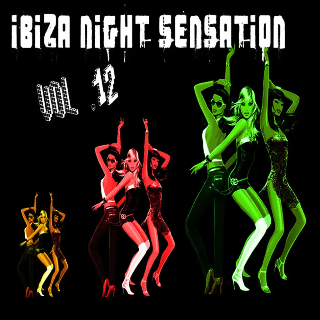 Ibiza Night Sensation Vol. 12