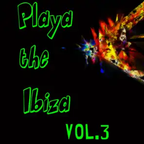 Playa De Ibiza Vol. 3