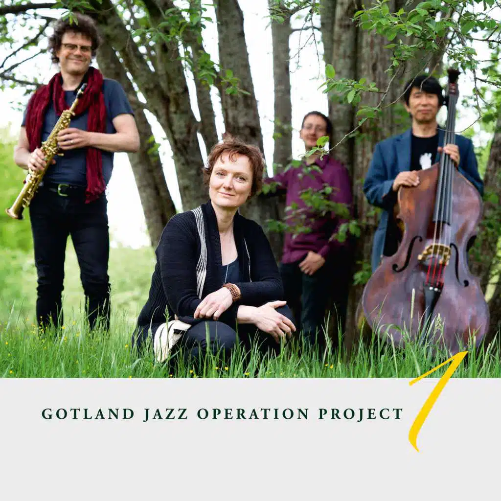 Gotland Jazz Operation Project (feat. Jean-Simon Maurin, Gunnel Mauritzson, Yasuhito Mori & Anders Hagberg)