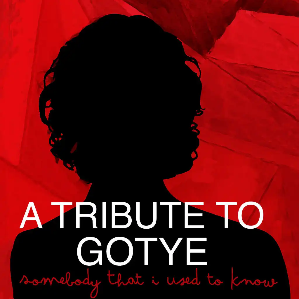 A Tribute to Gotye