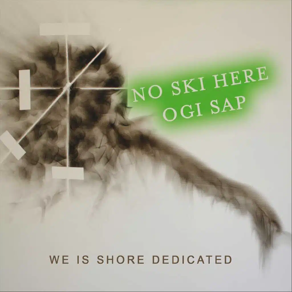No Ski Here Ogi Sap