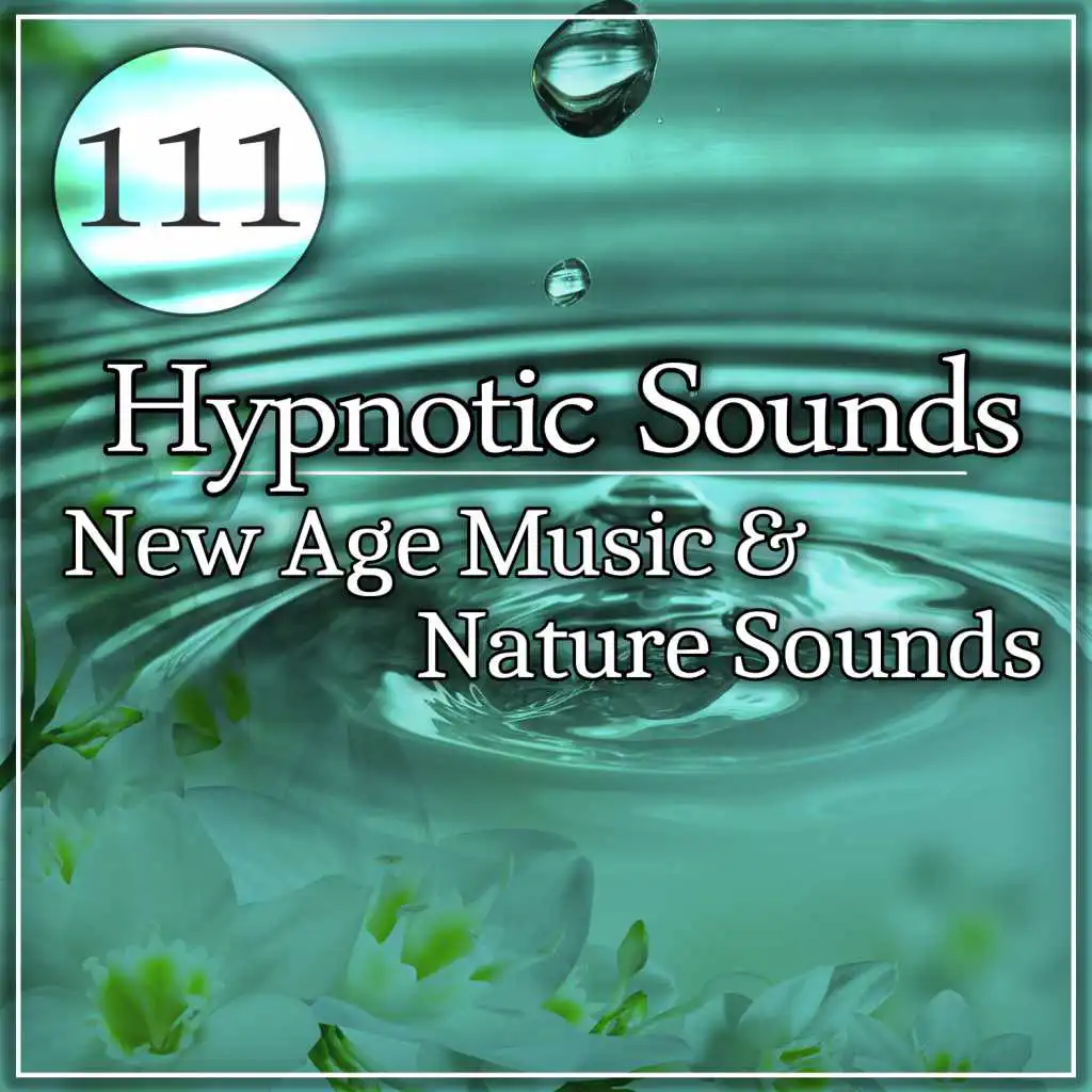 Hypnotic Sounds (Woodland)