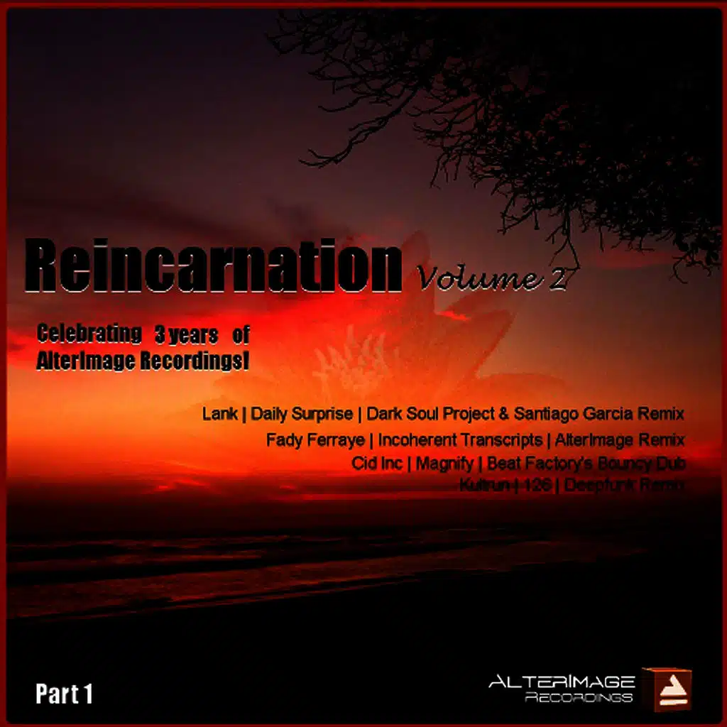 Incoherent Transcripts (Alterimage Remix)