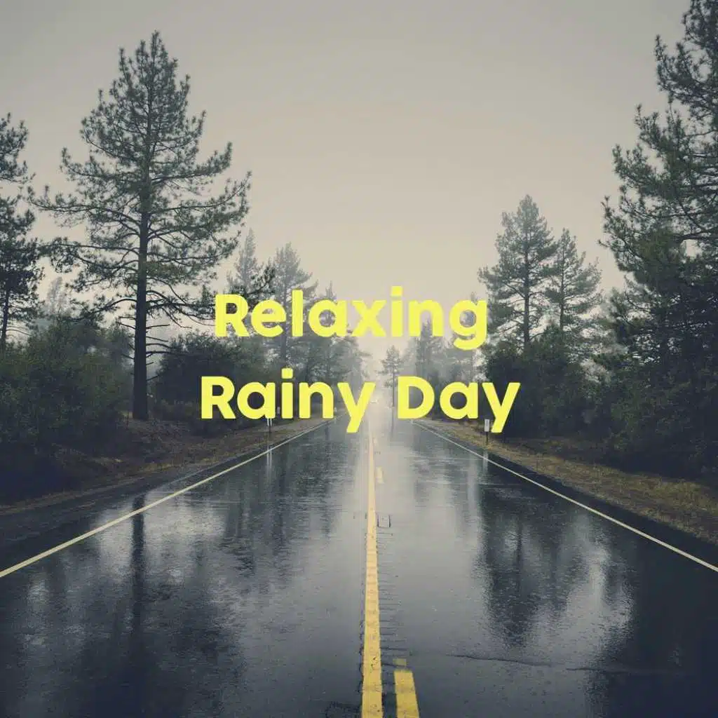 Relaxing Rain Sounds for Sleep, Focus & Study