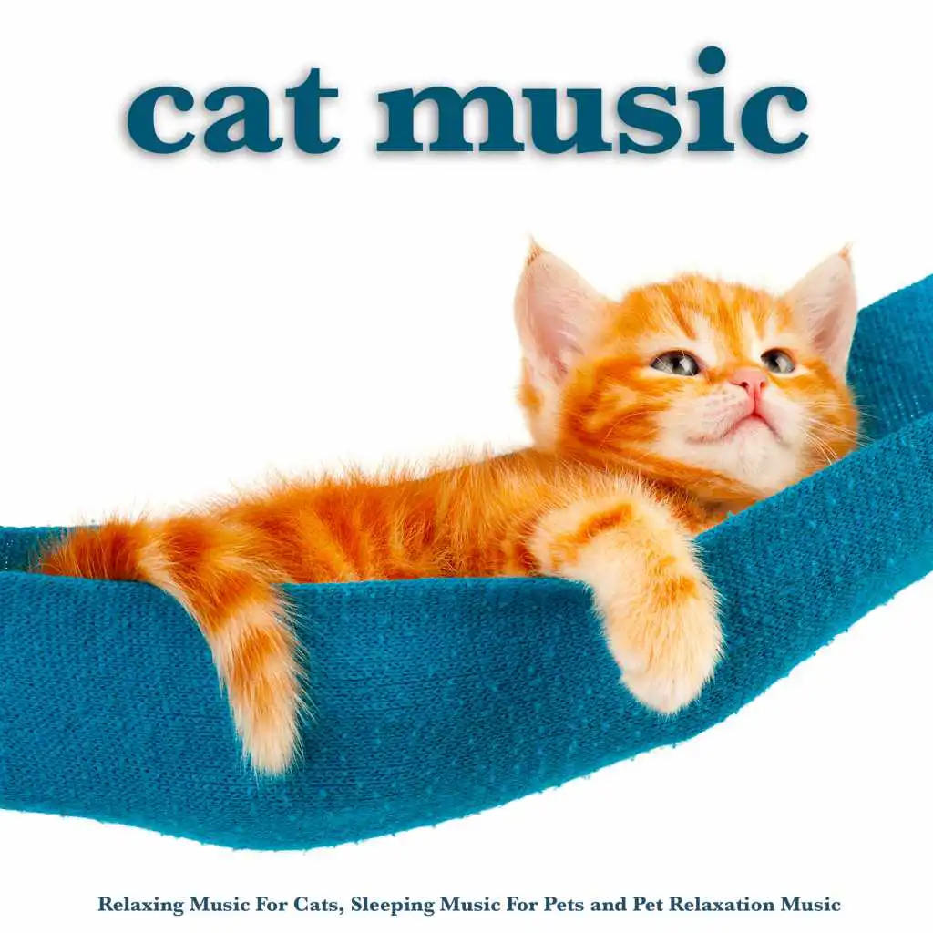 Soothing Cat Music