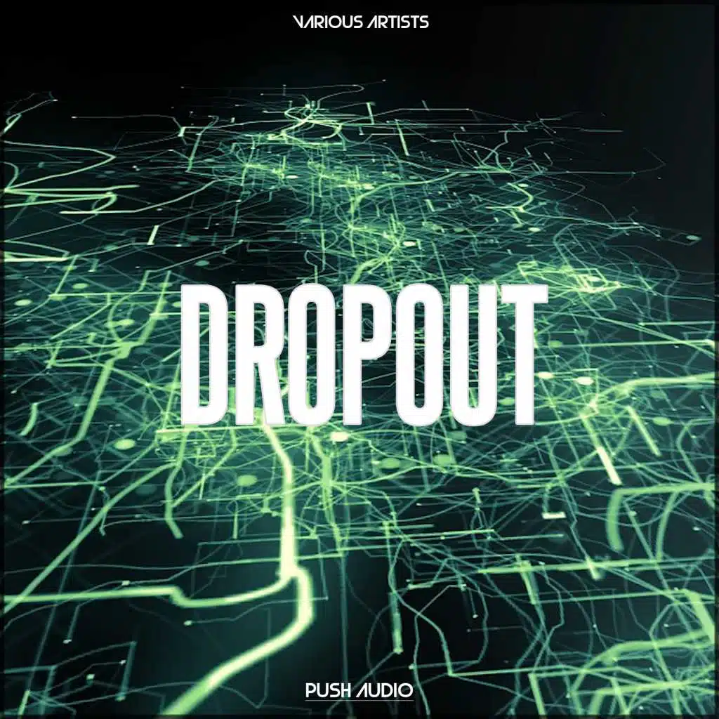 Dropout