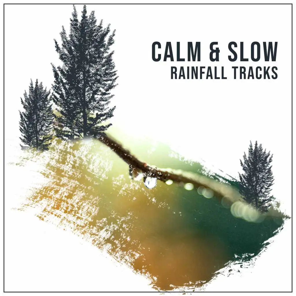 #15 Calm & Slow Rainfall Tracks for Natural Sleep Aid