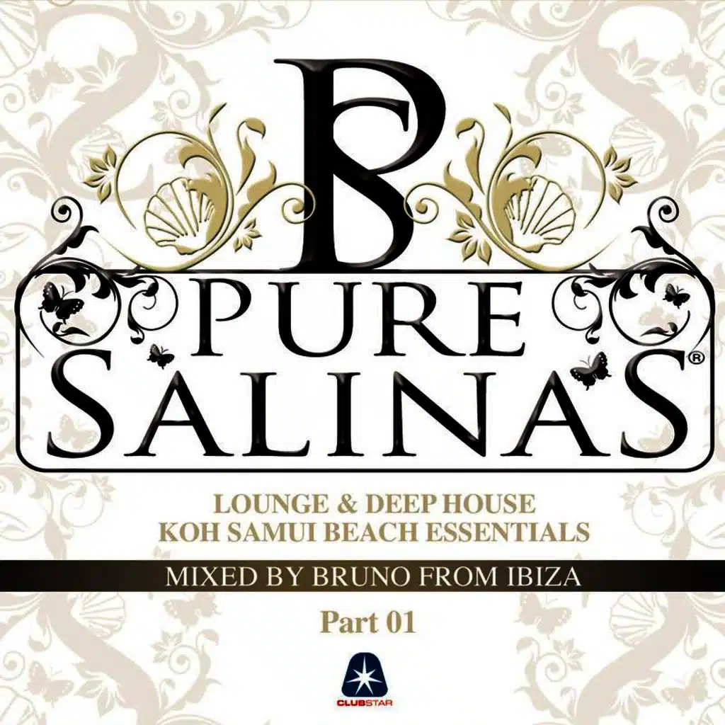 Pure Salinas Vol. 2 - Compiled By Bruno from Ibiza
