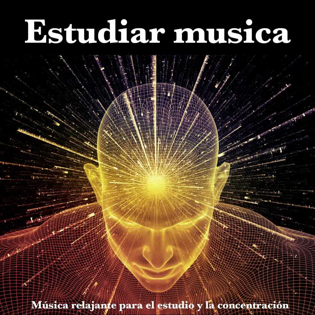 Estudiar musica