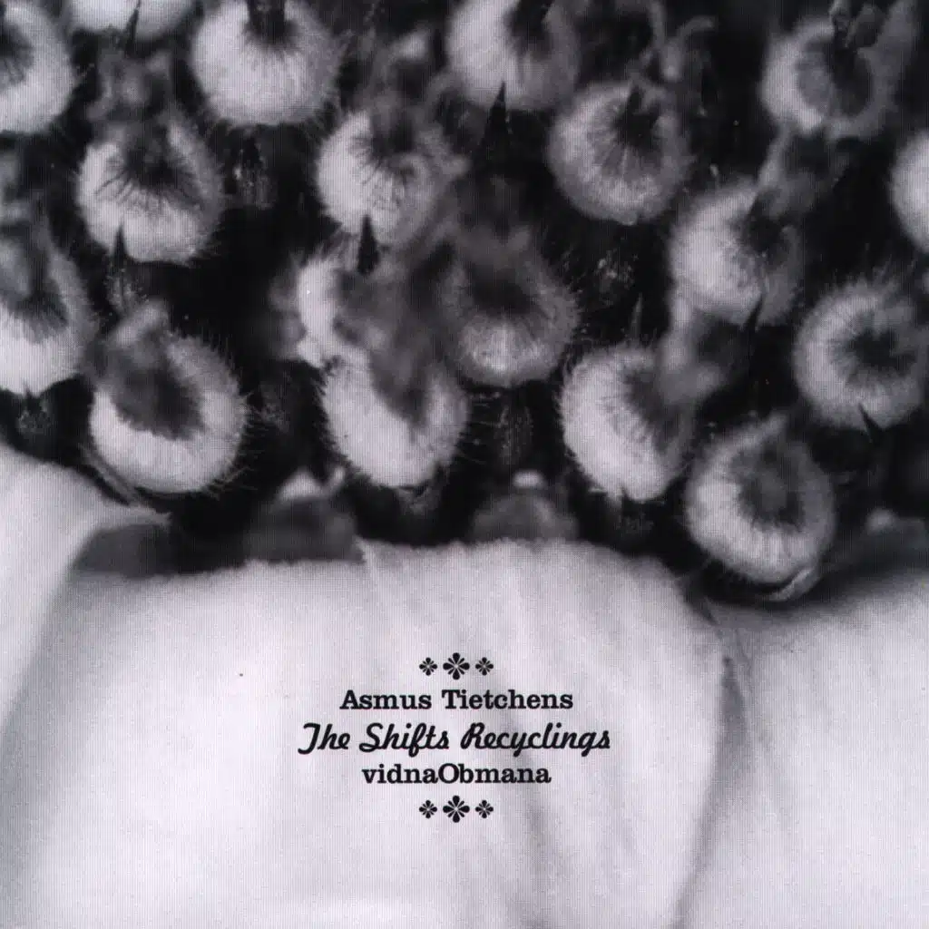 Vidna Obmana, Asmus Tietchens