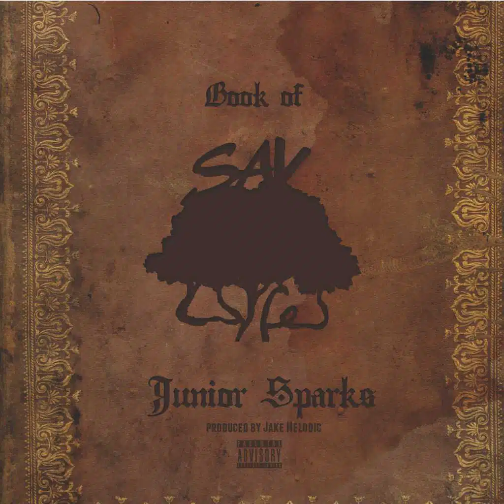 Book of Sav