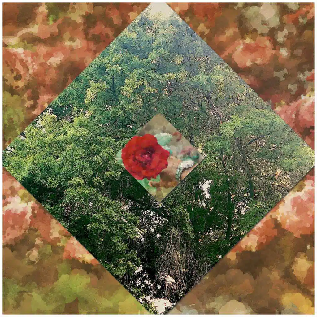 Hirxm \ Sxlxmxn Ascend Tabor