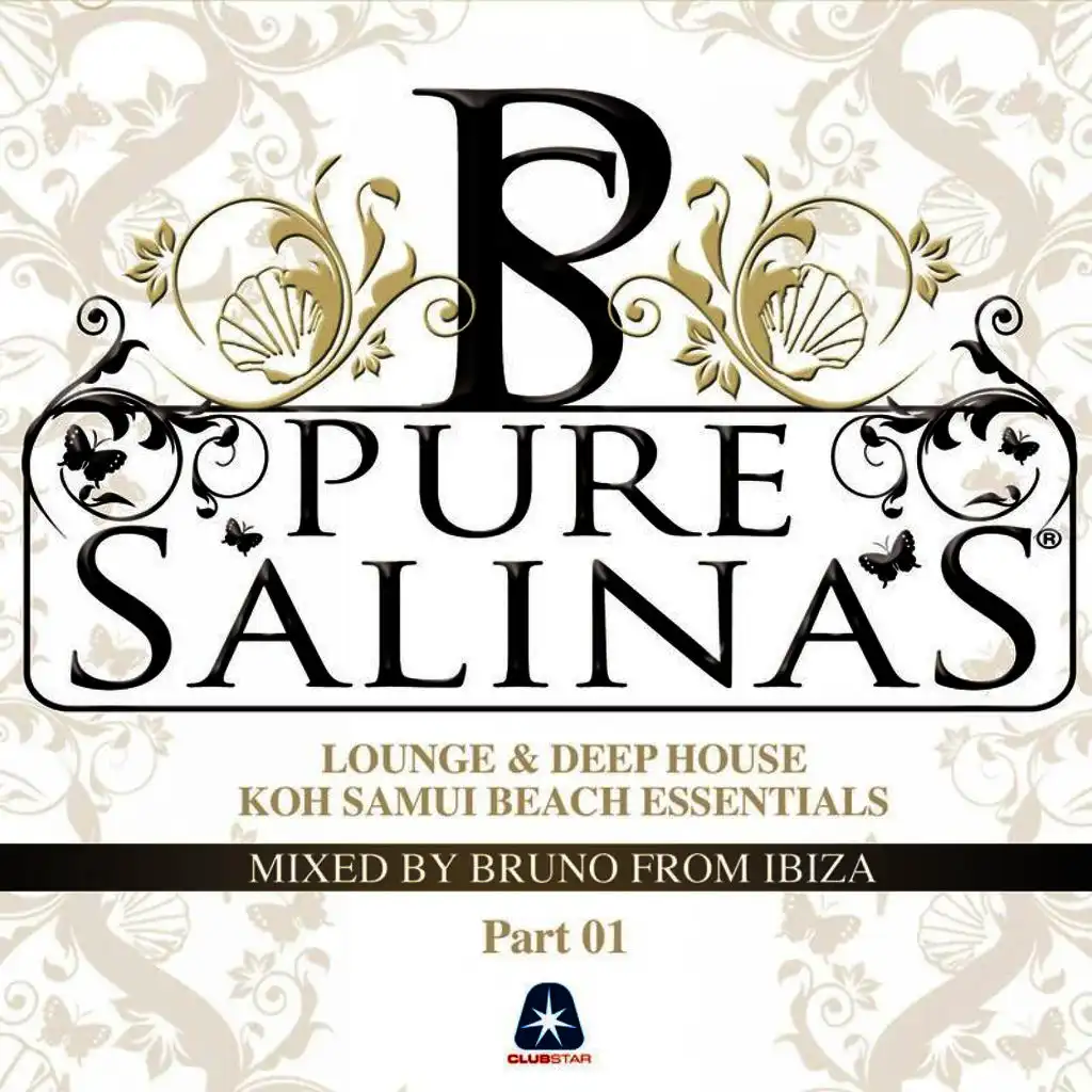 Pure Salinas Vol. 2 - Compiled by Bruno from Ibiza