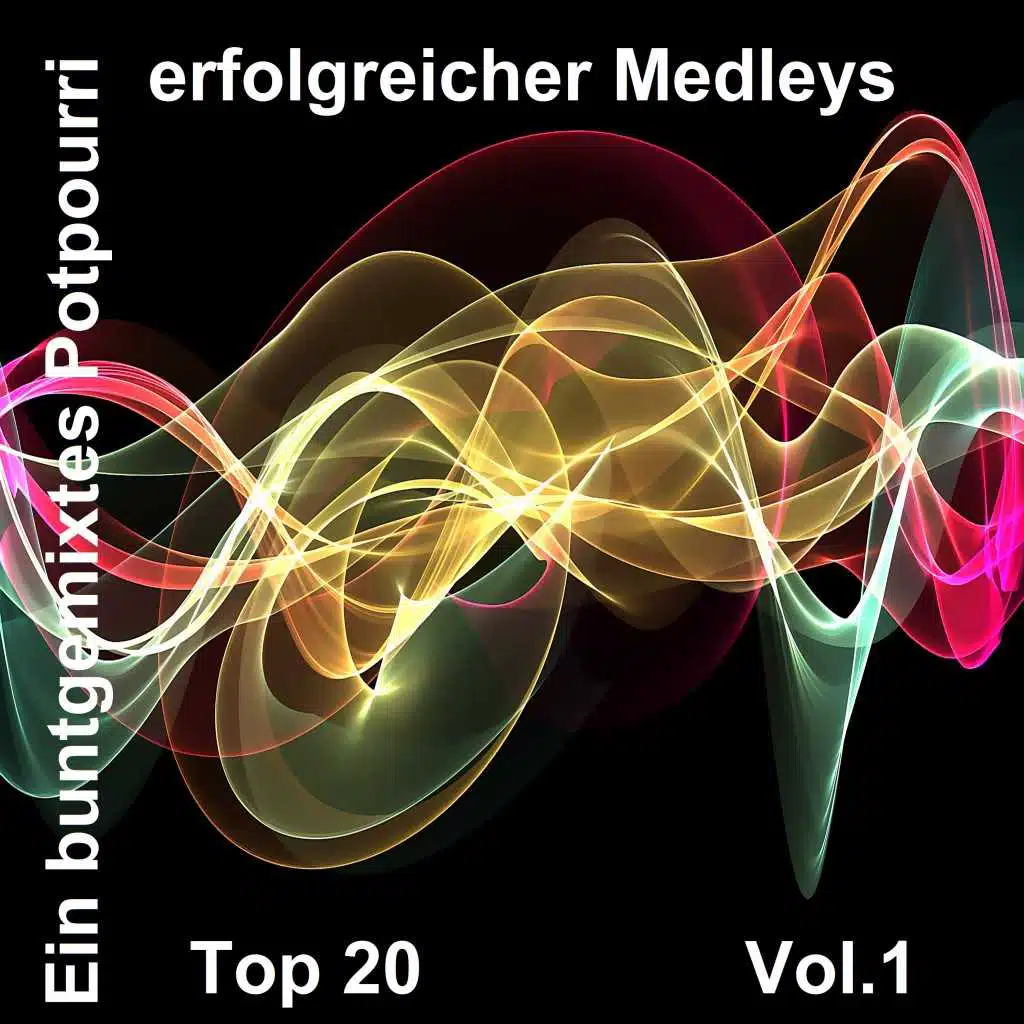 Top 20: Ein buntgemixtes Potpourri erfolgreicher Medleys, Vol. 1
