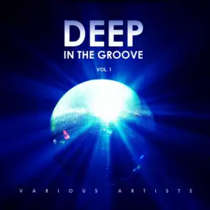 Deep in the Groove, Vol. 1